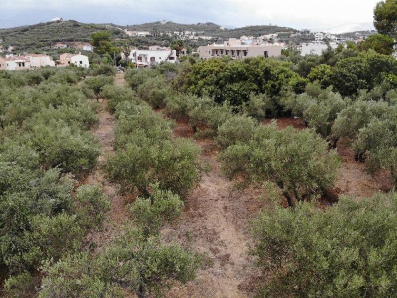 Almyrida Kreta, Almyrida: Grundstück in Strandnähe mit Meerblick zu verkaufen Grundstück kaufen
